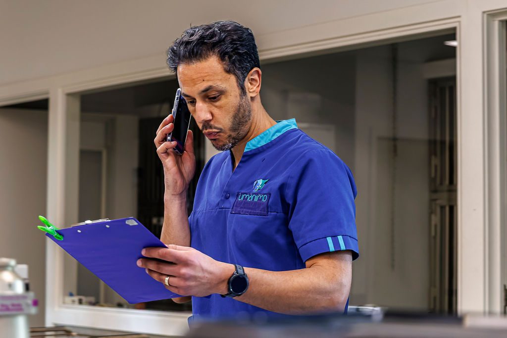 Un vétérinaire du centre vétérinaire d'Umanimo traite un cas de radiographie