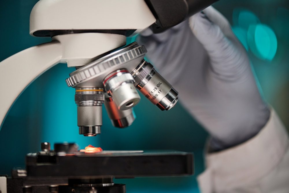 Le microscope est utilisé par les vétérinaires d'Umanimo - Cabinet vétérinaire près de Liège